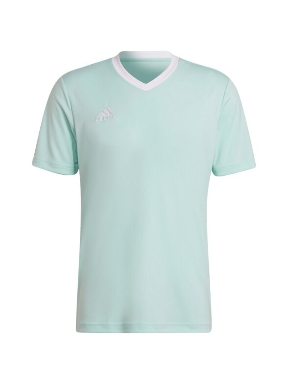 Vyriški marškinėliai adidas Entrada 22 Jersey mint HC5073 Vyriški marškinėliai adidas Entrada 22 Jersey mint HC5073