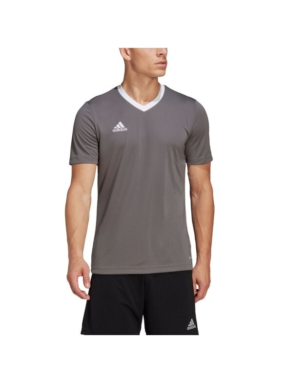 Vyriški marškinėliai Adidas Entrada 22 Jersey ball HE1574 4
