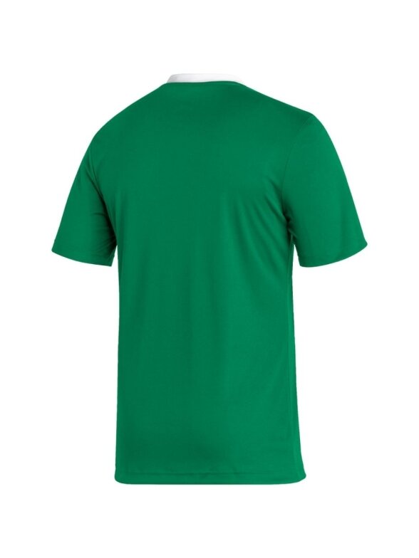 Vyriški marškinėliai Adidas Entrada 22 Jersey green HI2123 1