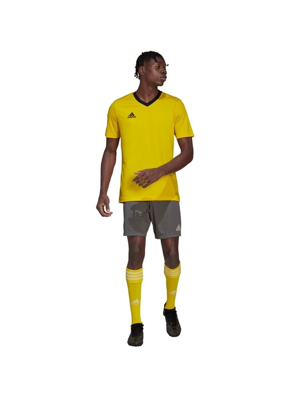 Vyriški marškinėliai Adidas Entrada 22 Jersey geltoni HI2122 5