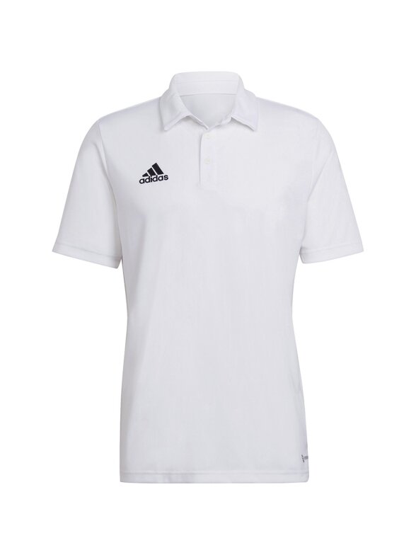 Adidas Entrada 22 Polo vyriški marškinėliai, balti HC5067