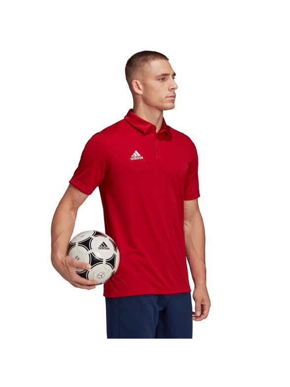 Vyriški marškinėliai Adidas Entrada 22 Polo red H57489 2