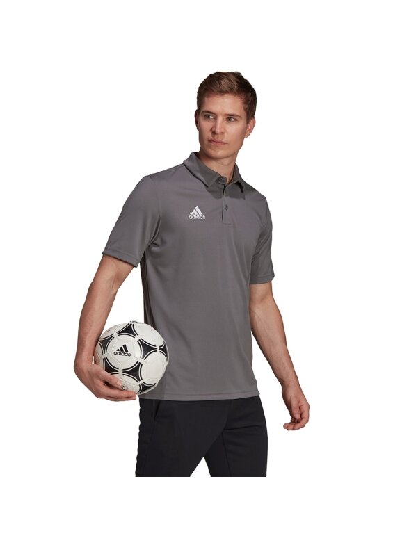 Adidas Entrada 22 Polo vyriški marškinėliai, pilki H57486