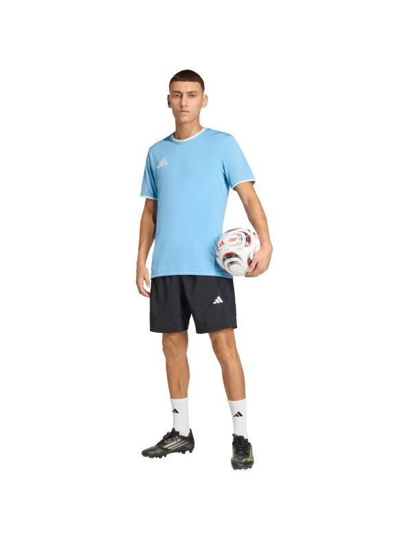 Adidas Entrada 26 Jersey vyrams šviesiai mėlyna JZ2510 7 Adidas Entrada 26 Jersey vyrams šviesiai mėlyna JZ2510 7