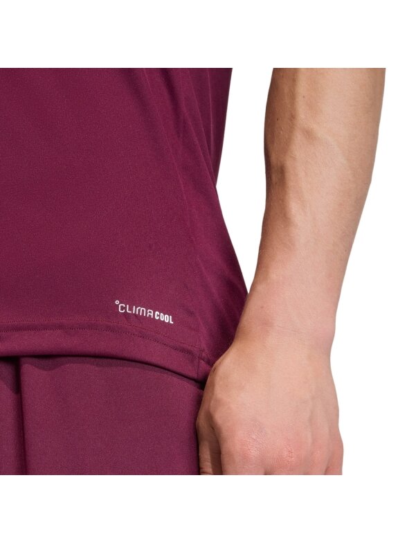 Adidas Entrada 26 Jersey marškinėliai vyrams bordo JZ2507 Adidas Entrada 26 Jersey marškinėliai vyrams bordo JZ2507