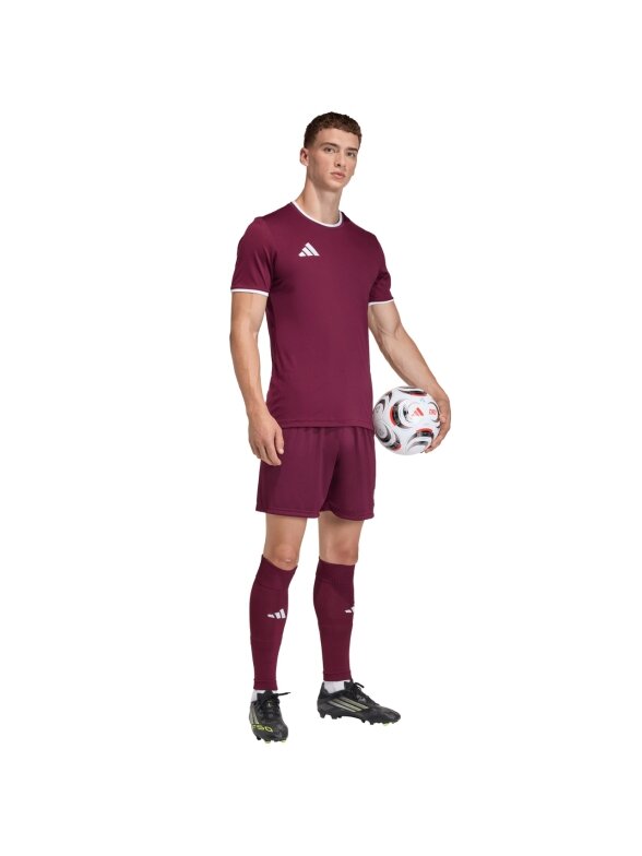 Adidas Entrada 26 Jersey marškinėliai vyrams bordo JZ2507 1 Adidas Entrada 26 Jersey marškinėliai vyrams bordo JZ2507 1