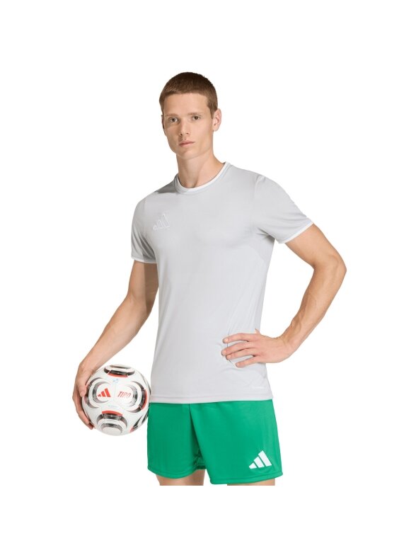 Adidas Entrada 26 Jersey marškinėliai vyrams šviesiai pilki JZ2511
