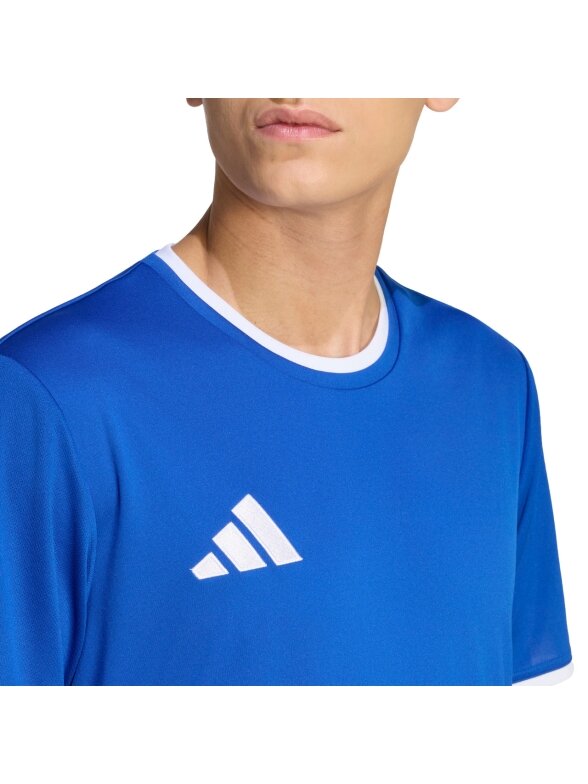 Adidas Entrada 26 Jersey vyrams mėlyna JZ2506 3