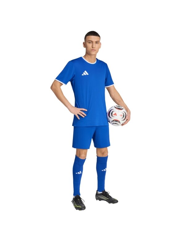Adidas Entrada 26 Jersey vyrams mėlyna JZ2506 5