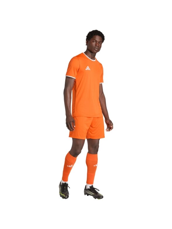 Adidas Entrada 26 Jersey marškinėliai vyrams oranžiniai JZ2509 6