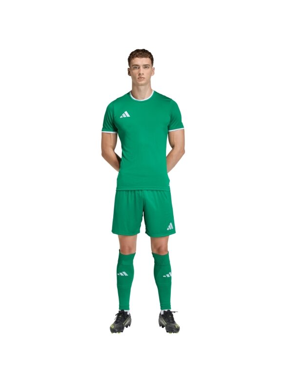 Adidas Entrada 26 Jersey vyriška marškinėliai žali JZ2503 6