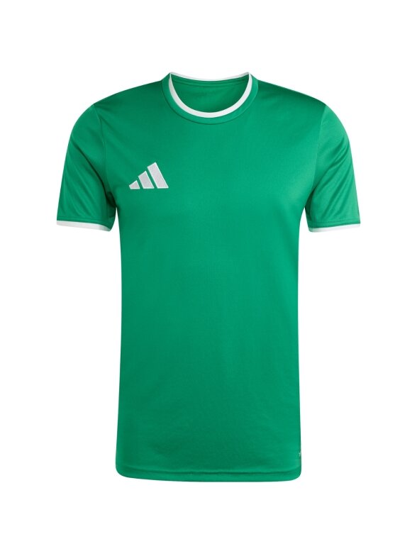 Adidas Entrada 26 Jersey vyriška marškinėliai žali JZ2503 1
