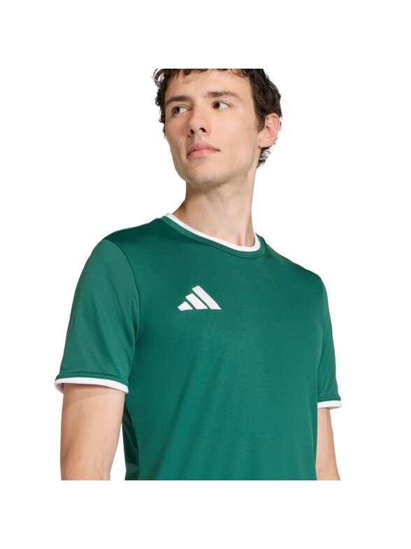 Vyriški marškiniai Adidas Entrada 26 Jersey green KE9832 4 Vyriški marškiniai Adidas Entrada 26 Jersey green KE9832 4