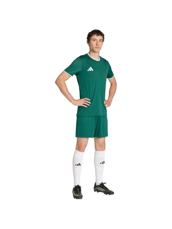 Vyriški marškiniai Adidas Entrada 26 Jersey green KE9832 6 Vyriški marškiniai Adidas Entrada 26 Jersey green KE9832 6