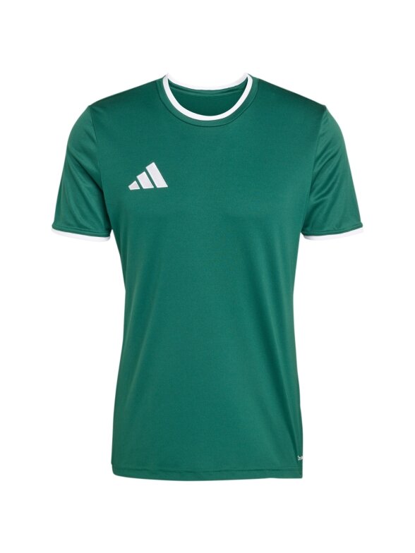 Vyriški marškiniai Adidas Entrada 26 Jersey green KE9832 1 Vyriški marškiniai Adidas Entrada 26 Jersey green KE9832 1