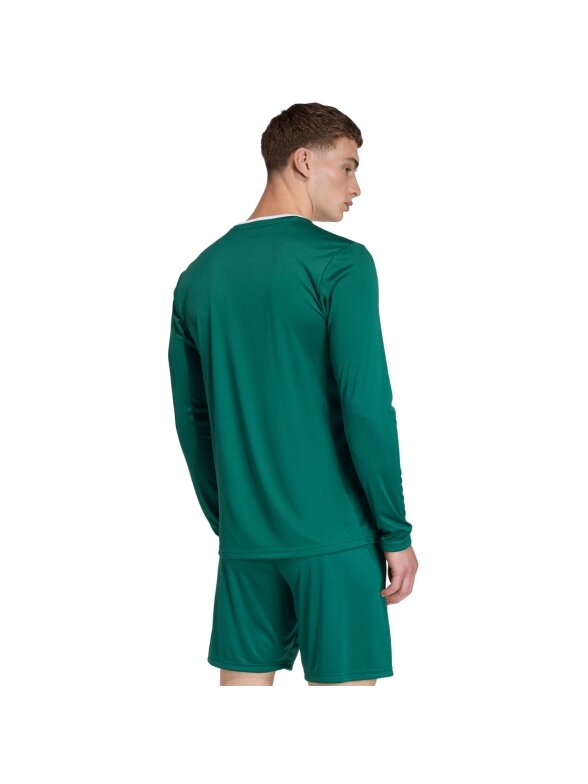 Adidas Entrada 26 Long Sleeve Jersey vyrams žalia KF5846 3 Adidas Entrada 26 Long Sleeve Jersey vyrams žalia KF5846 3