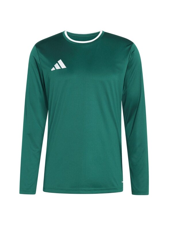 Adidas Entrada 26 Long Sleeve Jersey vyrams žalia KF5846 1 Adidas Entrada 26 Long Sleeve Jersey vyrams žalia KF5846 1