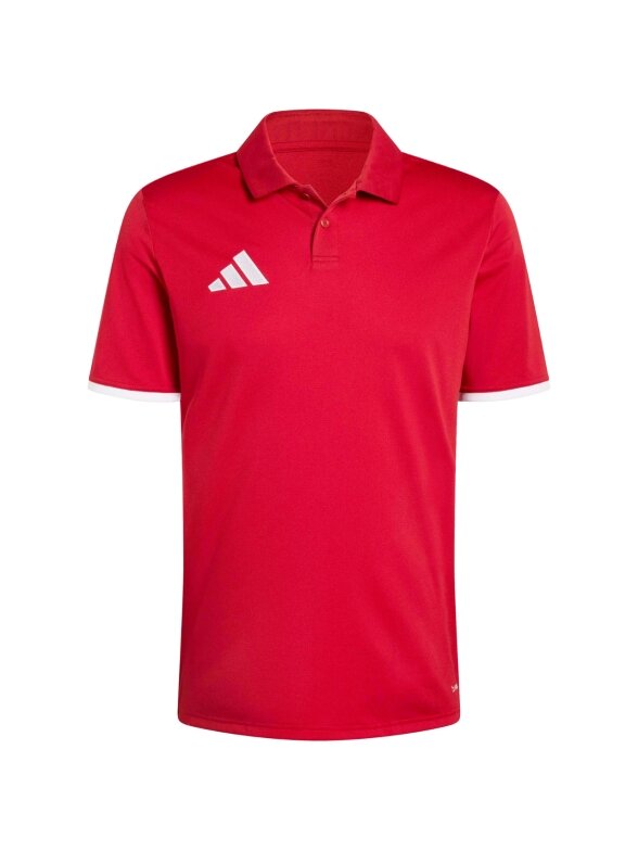 Adidas Entrada 26 Polo marškinėliai vyrams raudoni JZ6664 1