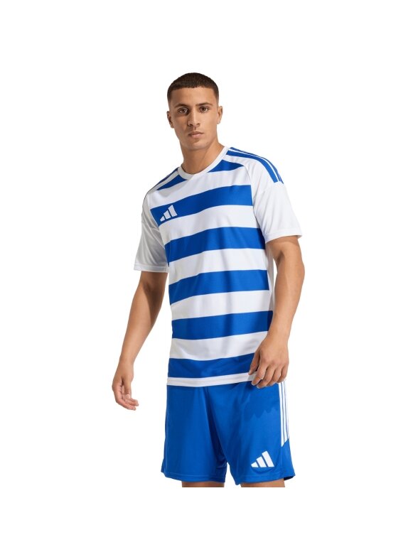 adidas Hooped 26 Jersey vyrams balta-mėlyna KF3389