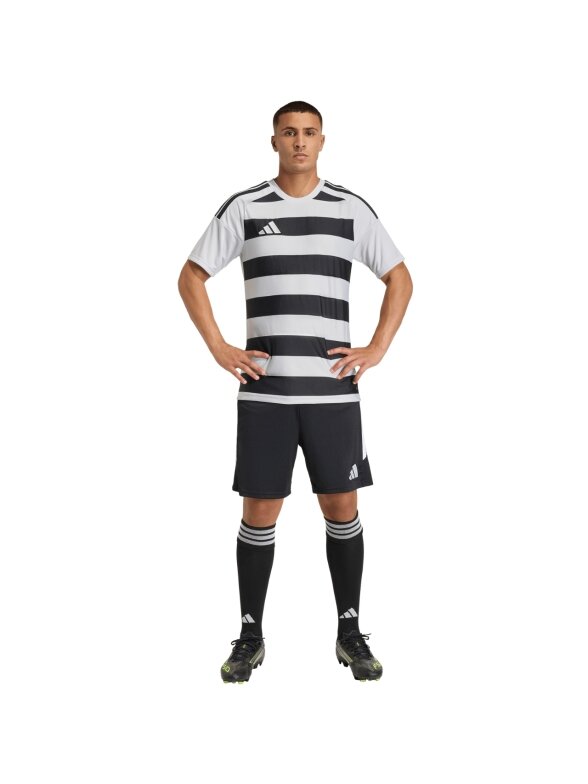 adidas Hooped 26 Jersey vyrams pilka-juoda KF3396 6