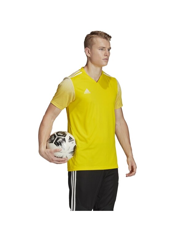 Vyriški marškinėliai Adidas Regista 20 Jersey geltoni FI4556 1