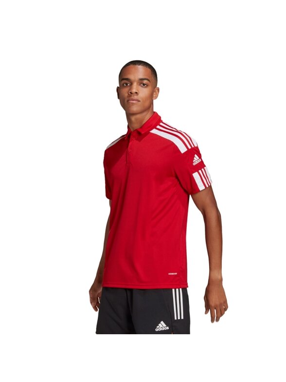 Adidas Squadra 21 Polo vyriški marškinėliai, raudoni GP6429 1 Adidas Squadra 21 Polo vyriški marškinėliai, raudoni GP6429 1