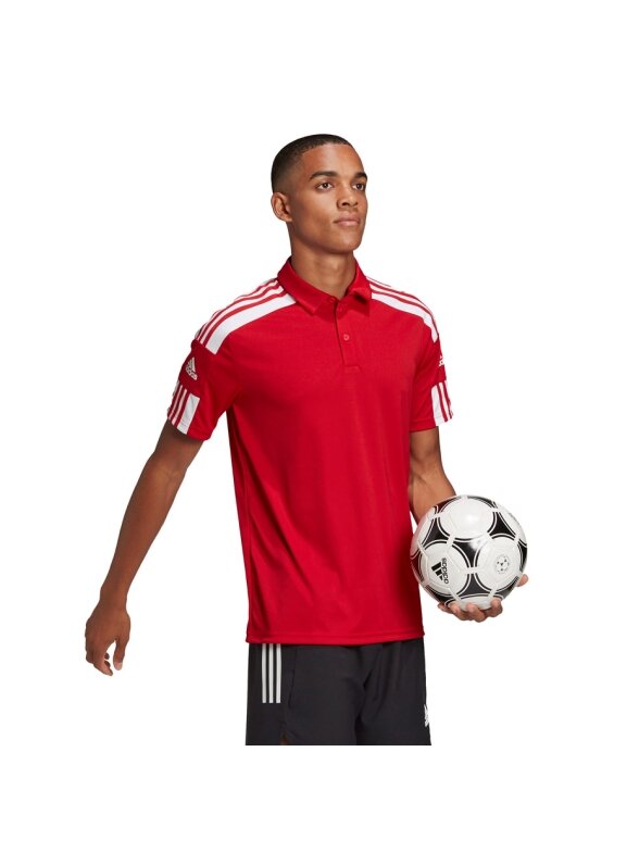 Adidas Squadra 21 Polo vyriški marškinėliai, raudoni GP6429 2