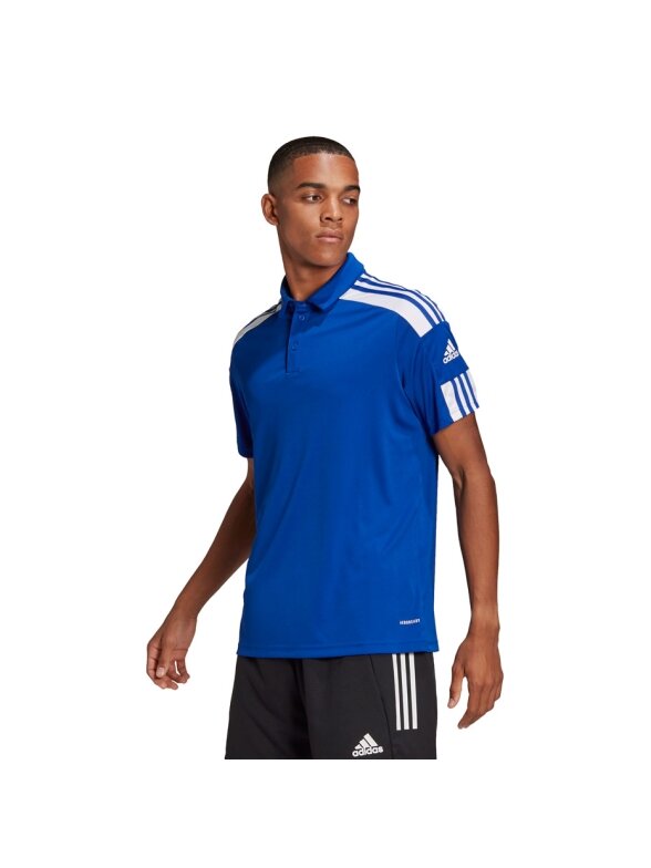 Vyriški marškinėliai adidas Squadra 21 Polo blue GP6427 1