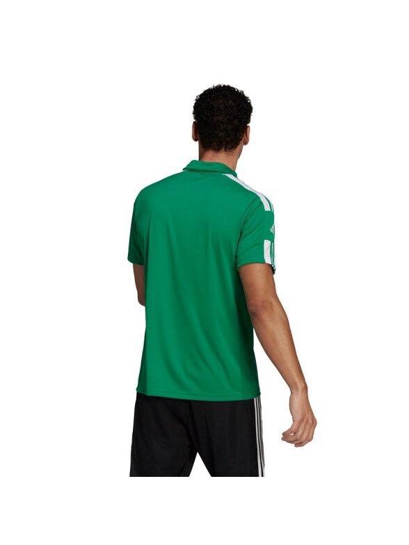 Adidas Squadra 21 Polo vyriški marškinėliai, žali GP6430 3