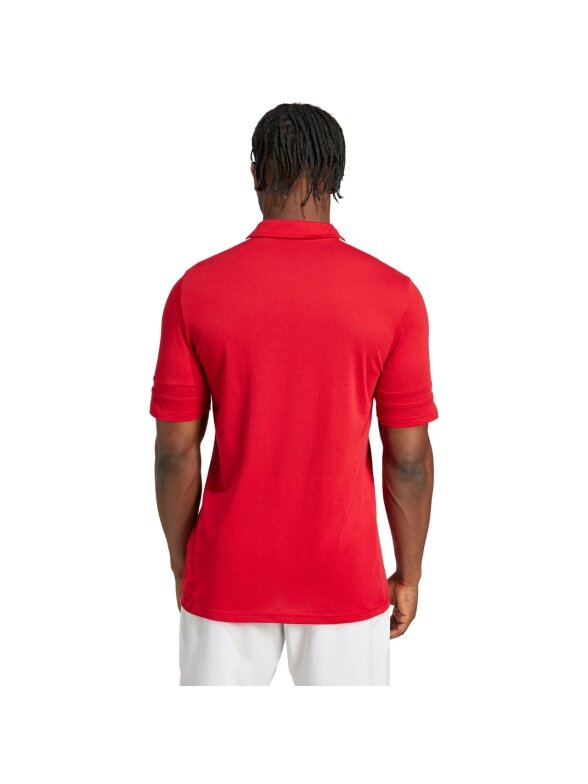 Adidas Squadra 25 Polo vyriški marškiniai raudoni JY3418 2 Adidas Squadra 25 Polo vyriški marškiniai raudoni JY3418 2