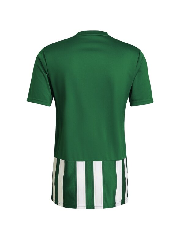 Vyriški marškinėliai adidas Striped 21 Jersey žaliai balti H35644 1