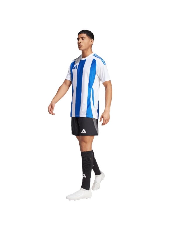 Vyriškas adidas Striped 24 Jersey baltas ir mėlynas IW2144 4