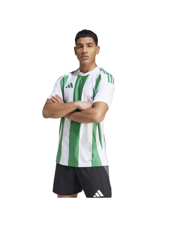 Vyriškas adidas Striped 24 Jersey baltas ir žalias IW2148 2 Vyriškas adidas Striped 24 Jersey baltas ir žalias IW2148 2