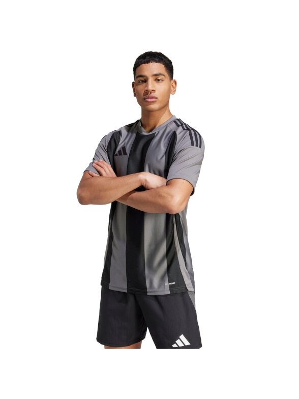 Vyriški marškinėliai Adidas Striped 24 Jersey pilkos ir juodos spalvos IW2145 3