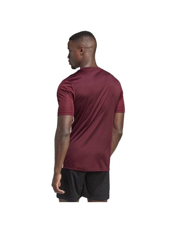 Vyriški marškinėliai adidas Table 23 Jersey bordo IB4928 3 Vyriški marškinėliai adidas Table 23 Jersey bordo IB4928 3