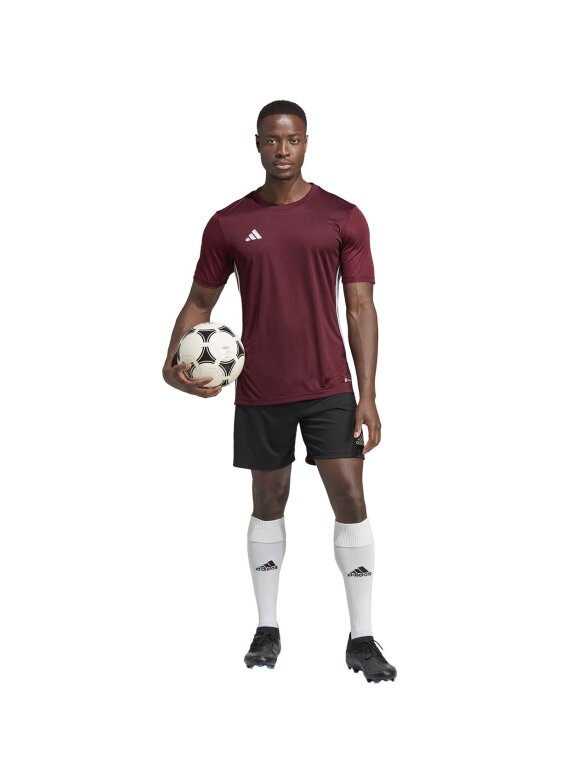 Vyriški marškinėliai adidas Table 23 Jersey bordo IB4928 4