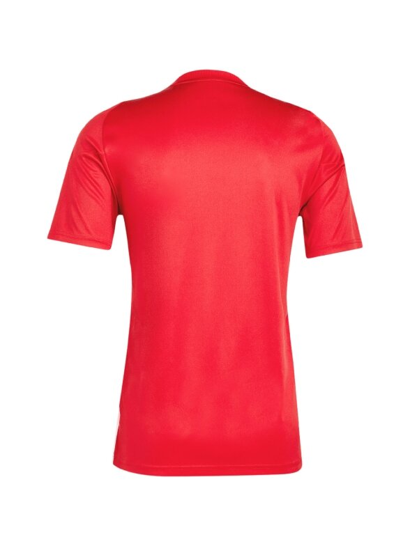 Vyriški marškinėliai adidas Tiro 24 Jersey red IS1016 1 Vyriški marškinėliai adidas Tiro 24 Jersey red IS1016 1
