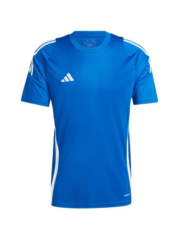Vyriški marškinėliai Adidas Tiro 24 Jersey blue IS1014