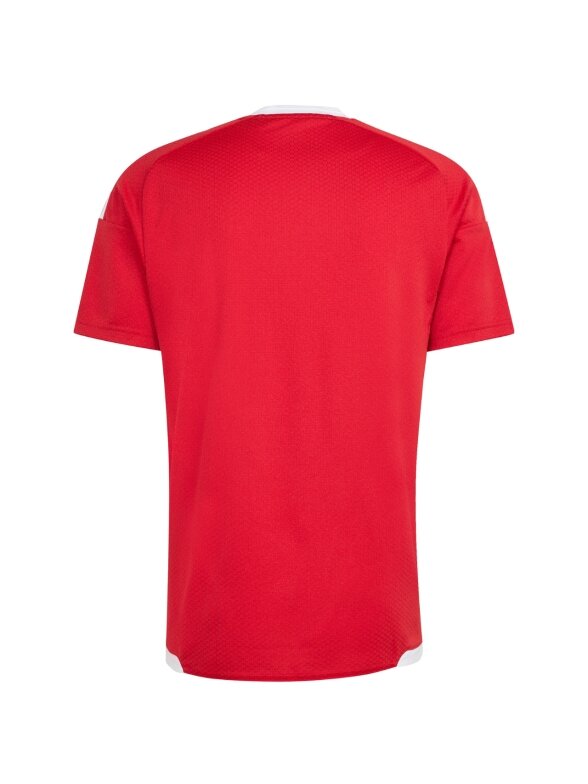 adidas Tiro 26 Competition Match Jersey vyrams raudona-balta KA6173 2