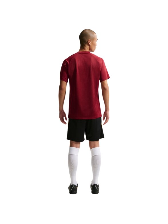 Nike Dri-Fit Park VIII vyriška bordinė marškinėliai HV8173 677 6
