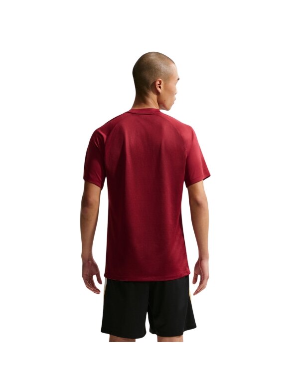 Nike Dri-Fit Park VIII vyriška bordinė marškinėliai HV8173 677 1