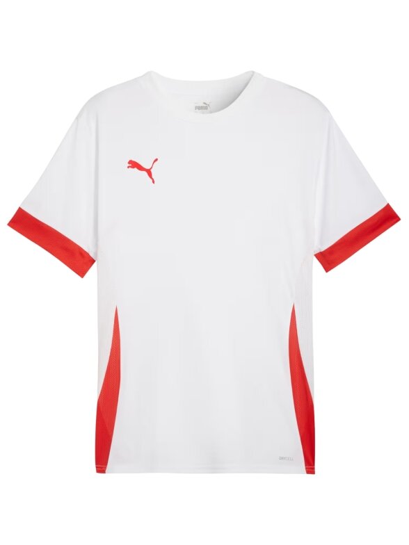 Puma teamGoal Matchday Jersey vyrams balta-raudona 705747 11