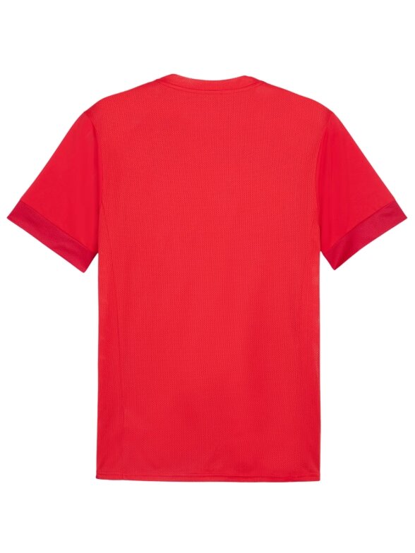 Puma vyriški teamGoal Matchday Jersey marškinėliai raudoni 705747 01 1