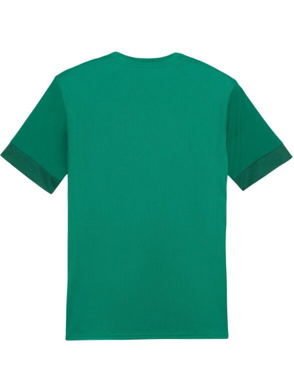 Puma teamGoal Matchday Jersey vyrams žalia 705747 05 1 Puma teamGoal Matchday Jersey vyrams žalia 705747 05 1