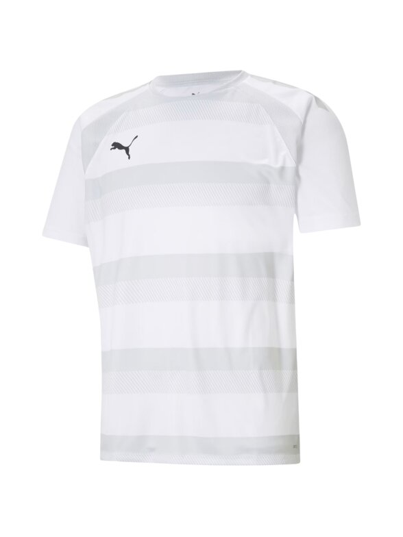 Puma teamVISION Jersey vyriški marškinėliai balti 704921 04