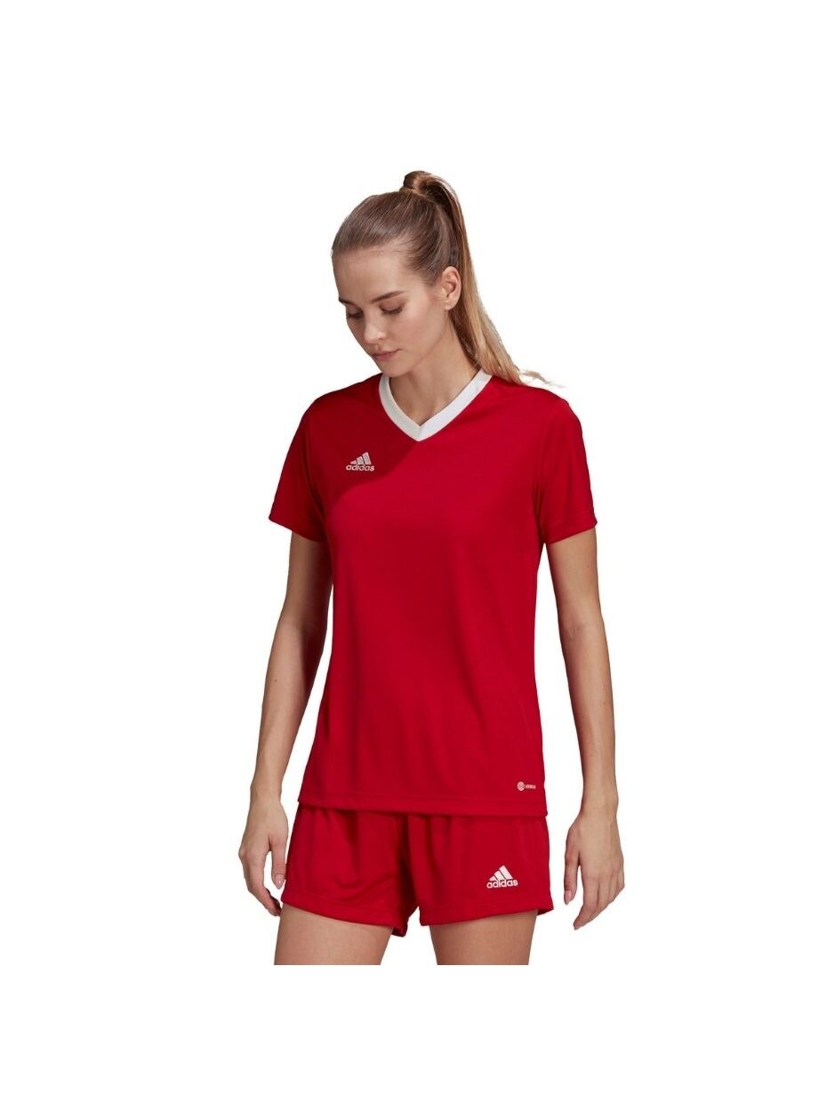 Adidas Entrada 22 Jersey moteriški marškinėliai, raudoni H57571 2