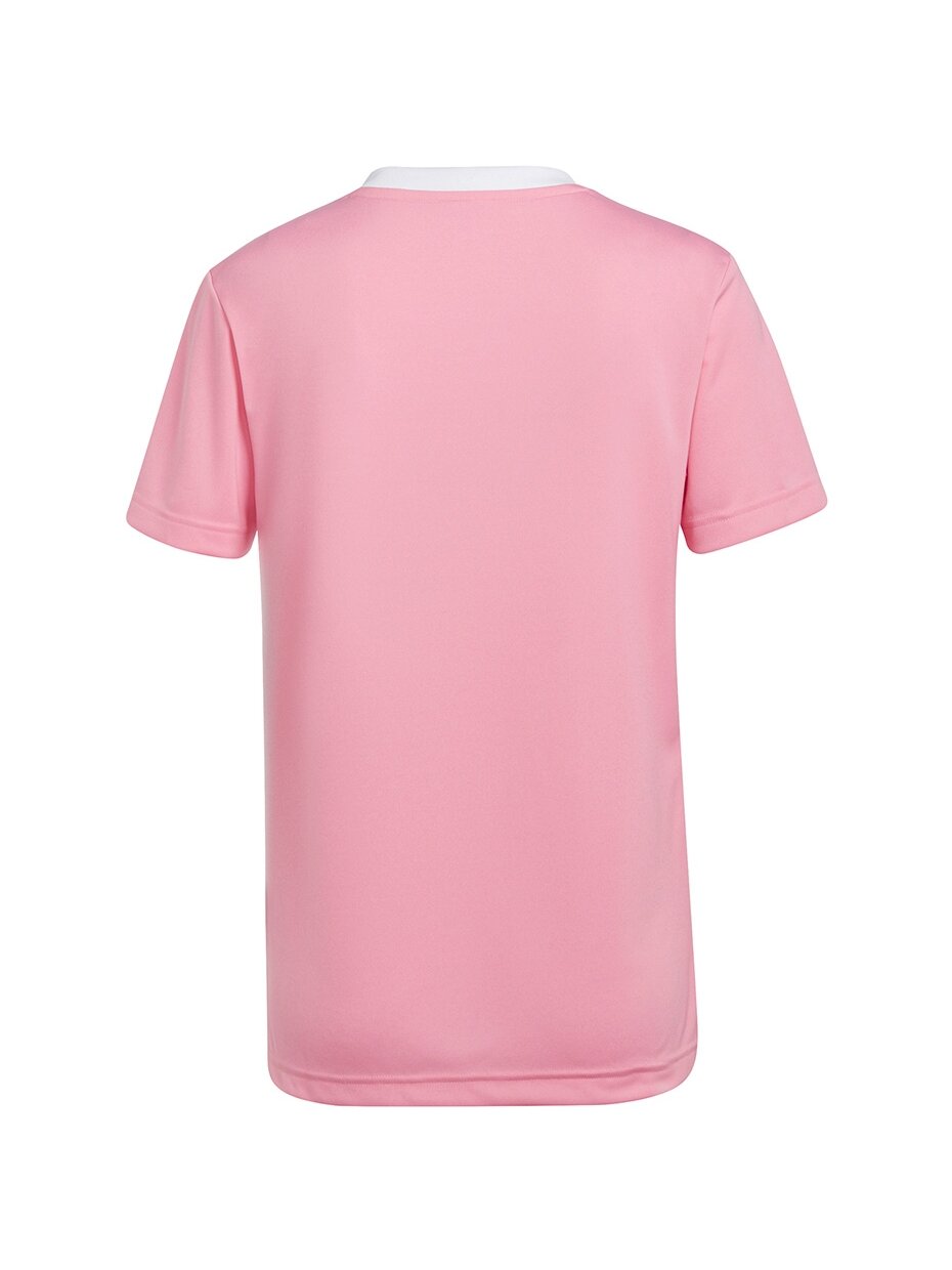 Moteriški marškinėliai Adidas Entrada 22 Jersey pink HC5075 1