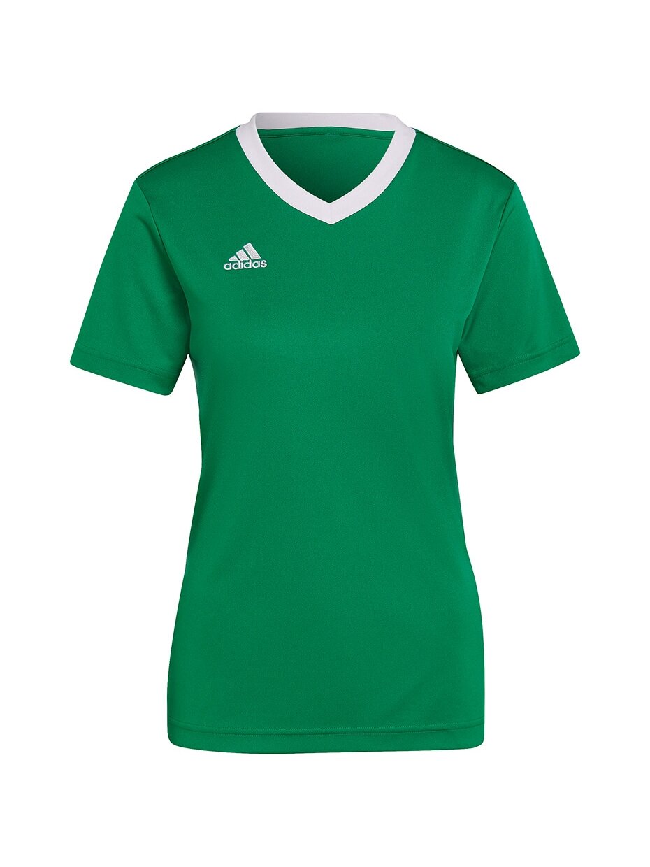 Adidas Entrada 22 Moteriški marškinėliai žali HI2124