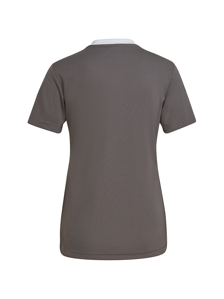 Adidas Entrada 22 Jsy moteriški marškinėliai, pilki H59848 1