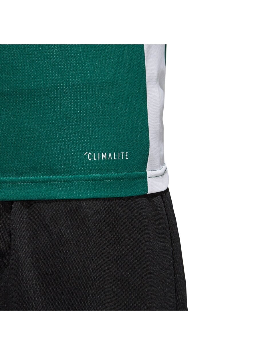 adidas Entrada 18 Jersey JUNIOR marškinėliai vaikams žali CE9563 2 adidas Entrada 18 Jersey JUNIOR marškinėliai vaikams žali CE9563 2